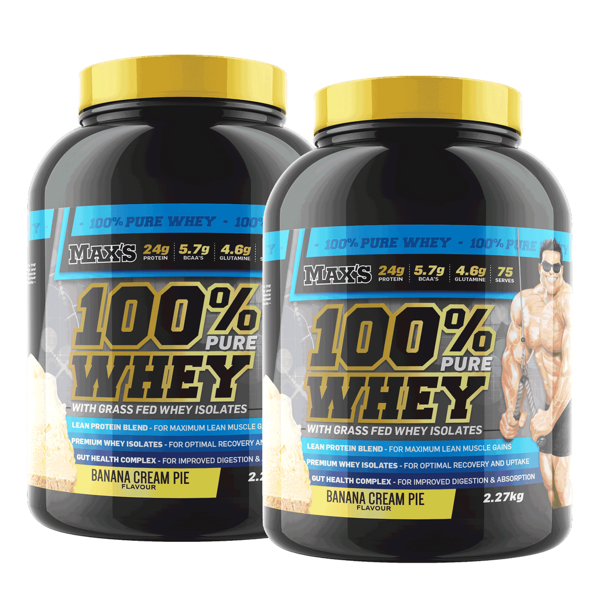 Twin Pack: 100% Whey Protein