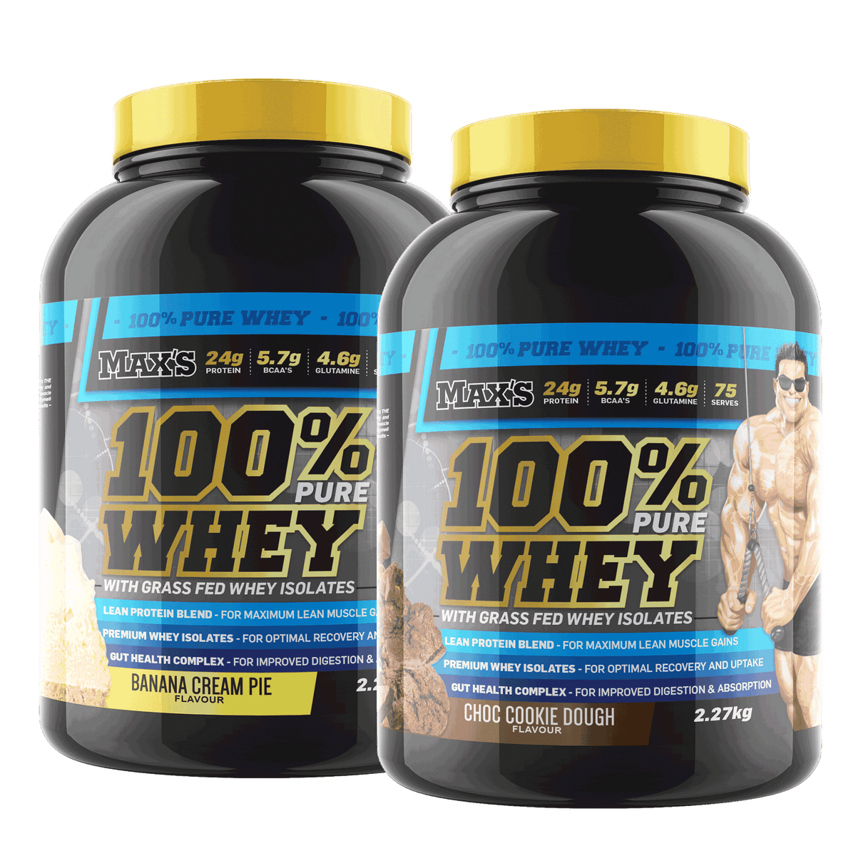 Twin Pack: 100% Whey Protein