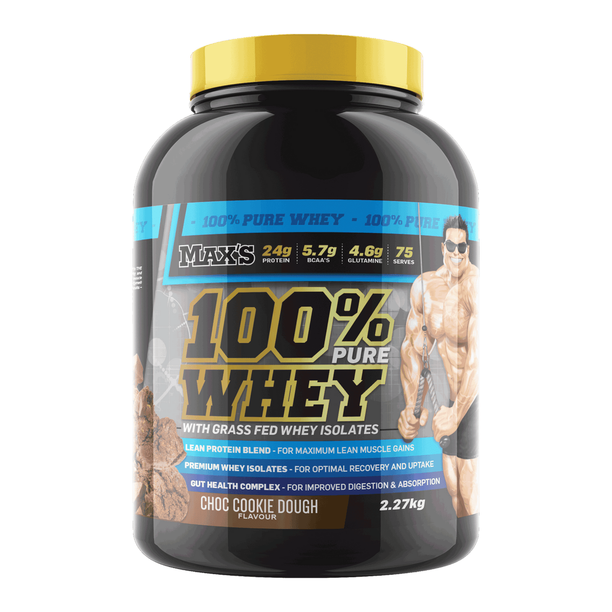 100% Whey Protein